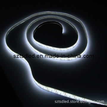 80ra PU Covered Double Row 3528 SMD LED Flexible Strip (TD-FS3528W240-2)